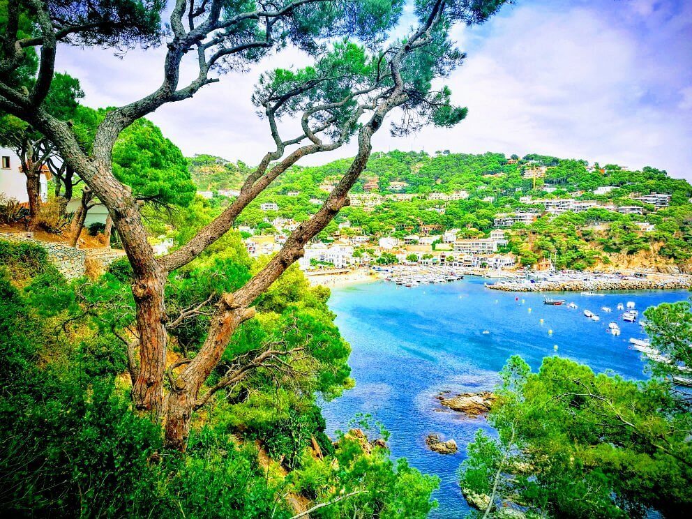 Tamariu, Costa Brava (1)