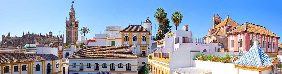 district-santa-cruz