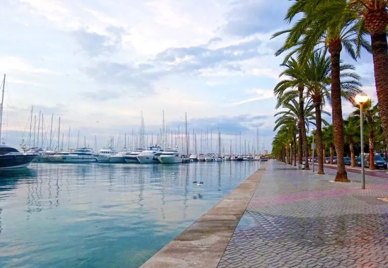Paseo Marítimo (1)